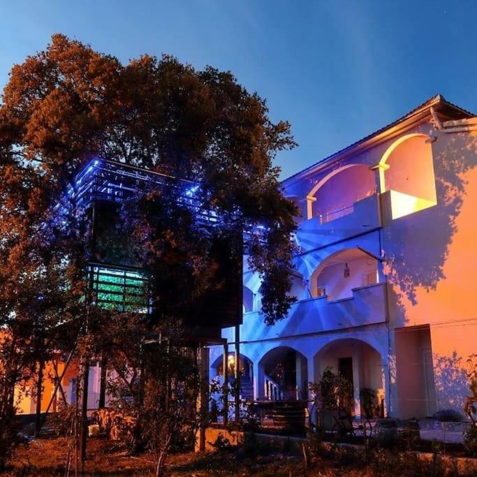 Apartments Js Bibinje Zewnętrze zdjęcie